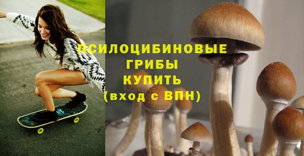 гидропоника Белокуриха