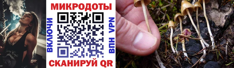 Псилоцибиновые грибы мухоморы  где купить наркотик  Надым 