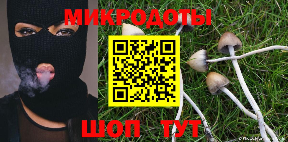 Галлюциногенные грибы MAGIC MUSHROOMS  Вход с VPN  Надым 