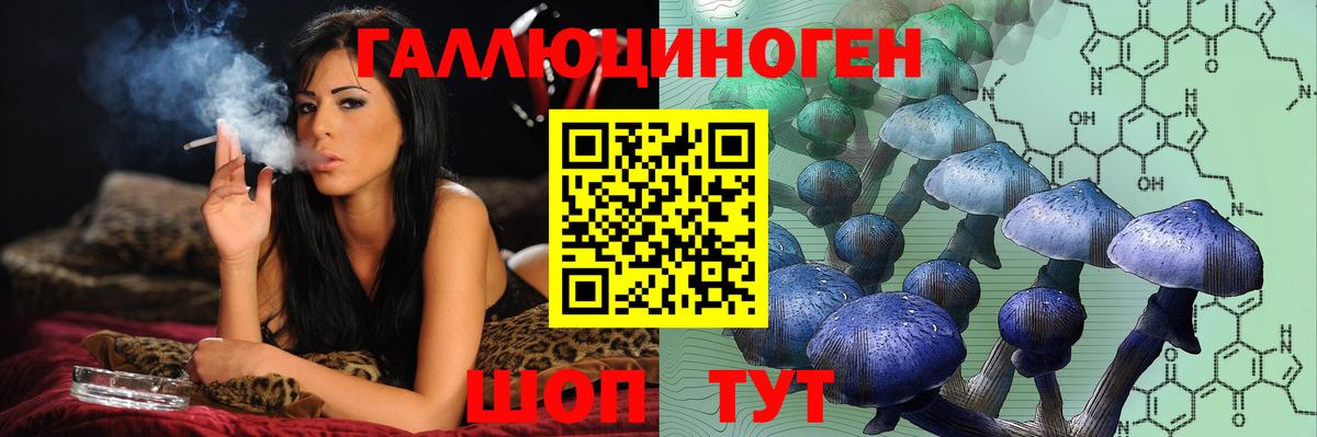 Галлюциногенные грибы GOLDEN TEACHER Надым